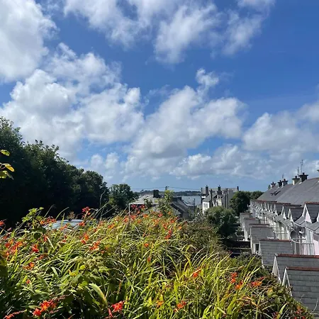 The Puffin Baltimore