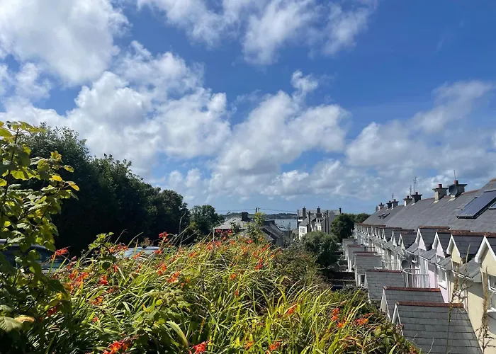 The Puffin 볼티모어