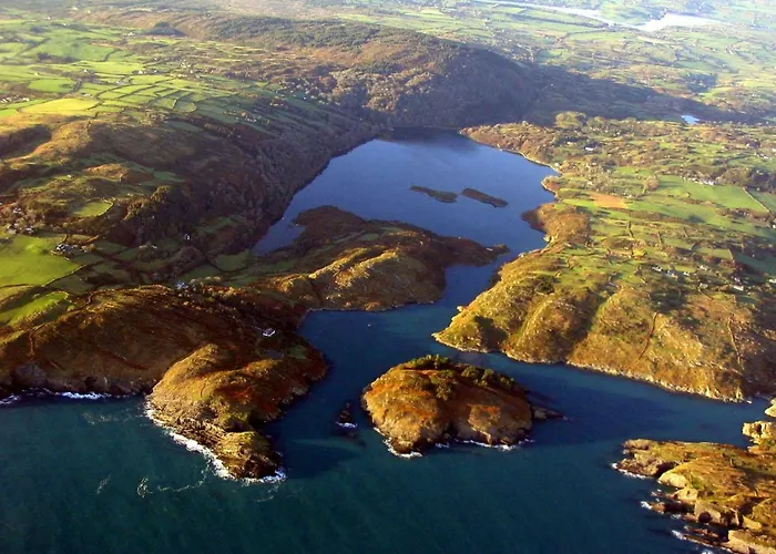 The Puffin 巴尔的摩